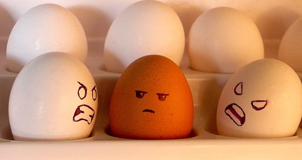 RACIST EGGS