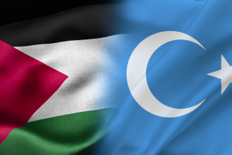 Uyghurs cannot offer total support to Palestinians