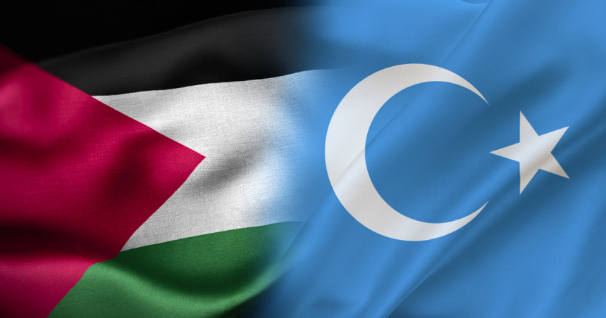 Uyghurs cannot offer total support to Palestinians