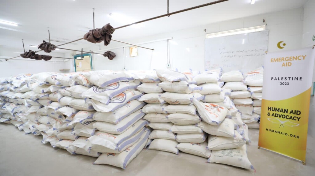 How you can help Gaza through its crisis right now