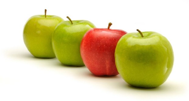 So similar .. yet so different - Islam21c